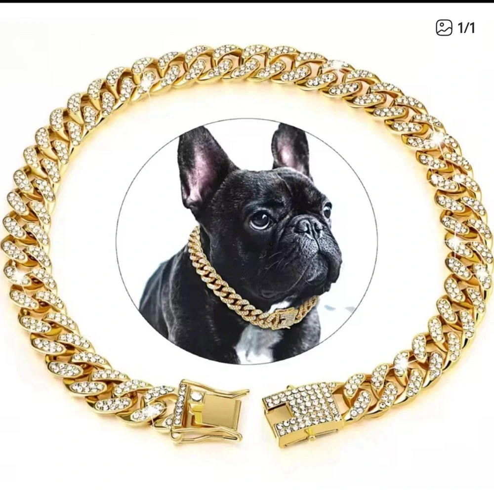 Luxury Gold Dog Collar with Rhinestones